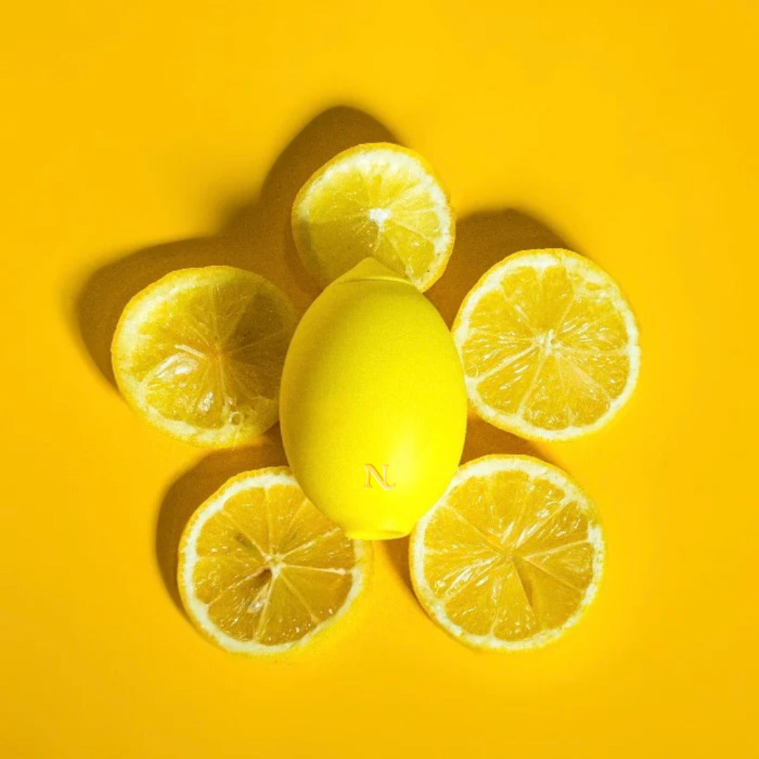 Lemon toy with accessories and charging cable
